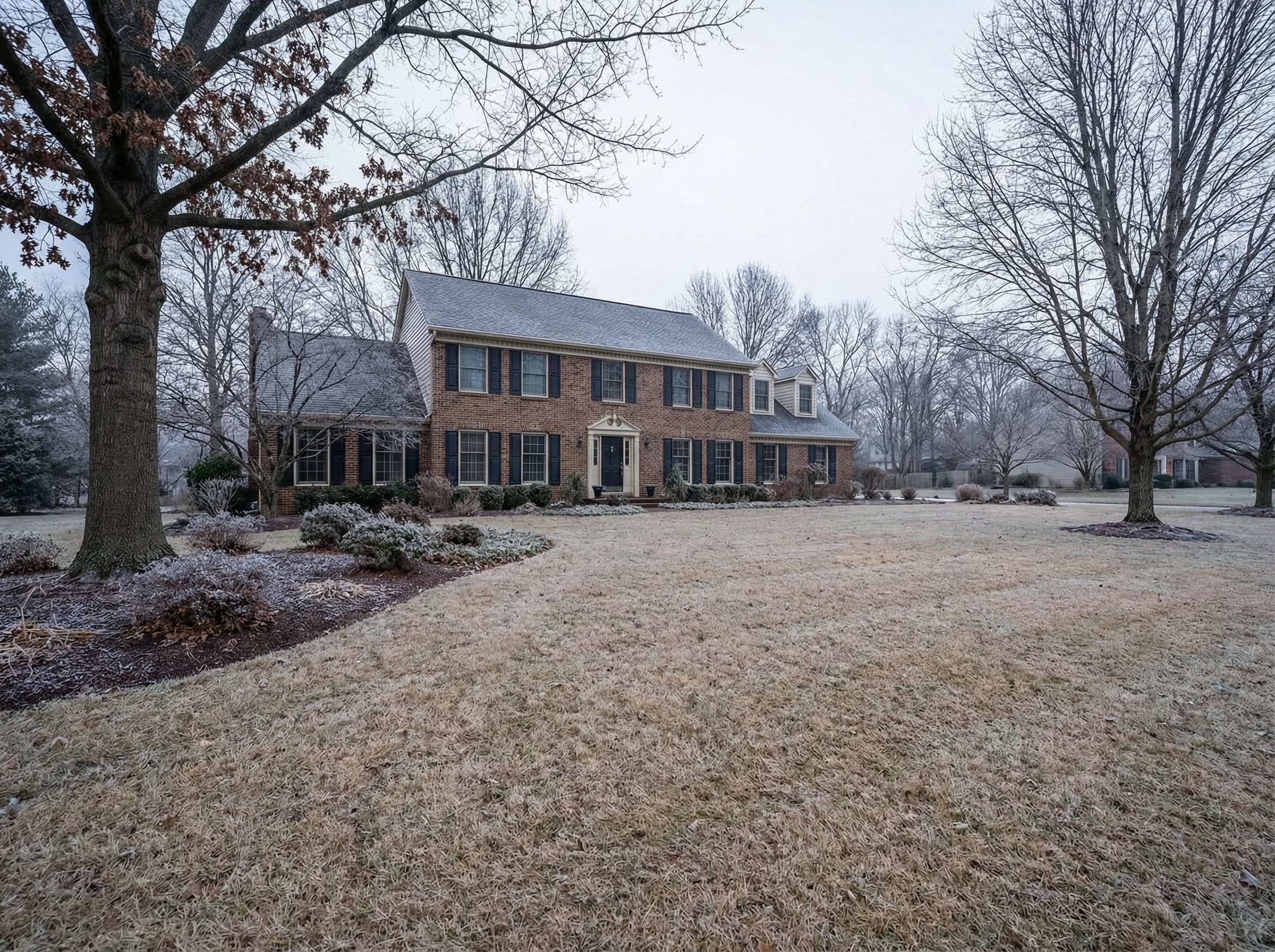 Detail view of how to grow grass in shade technique on residential lawn