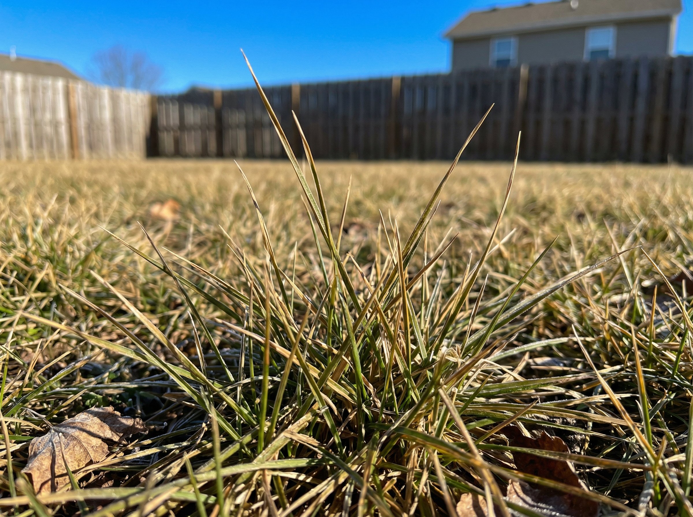 Article section image