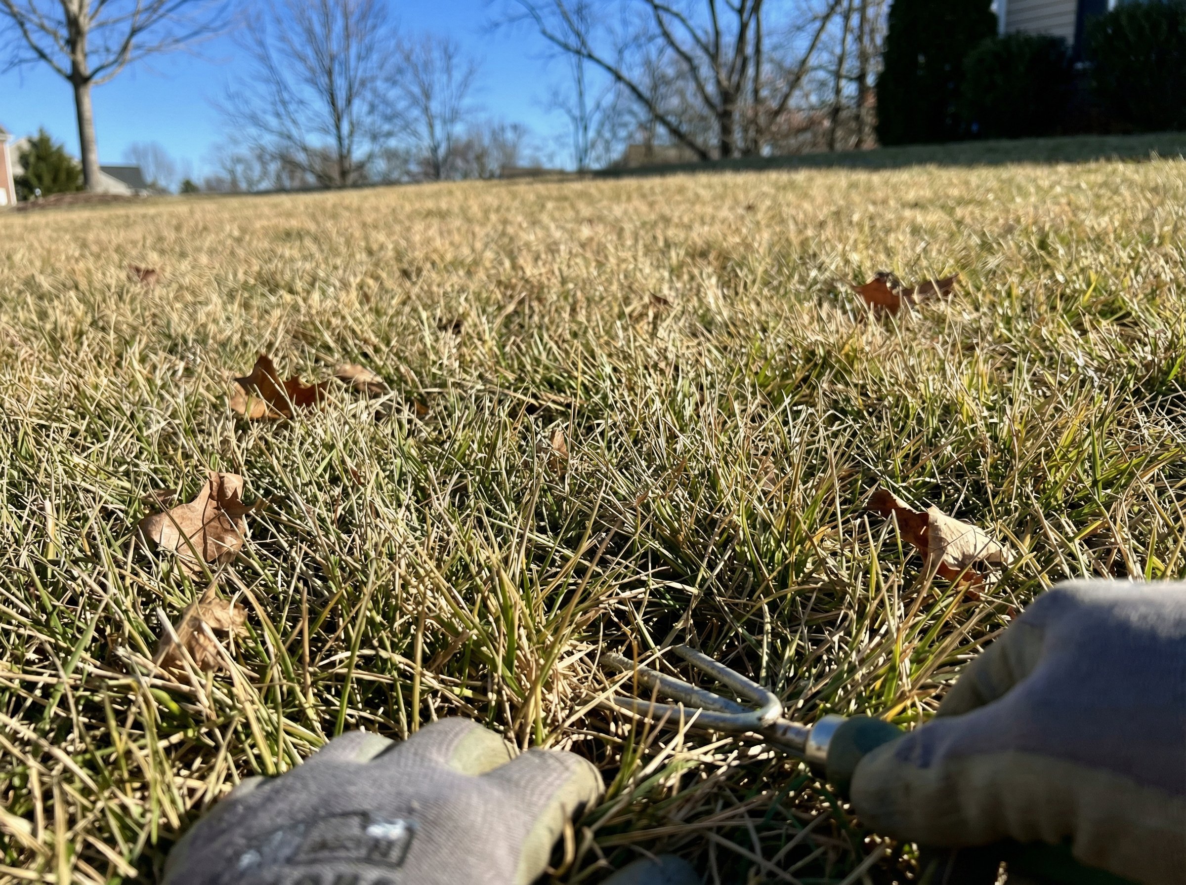 Article section image